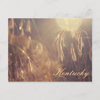 Sunset on the Mountain Briefkaart