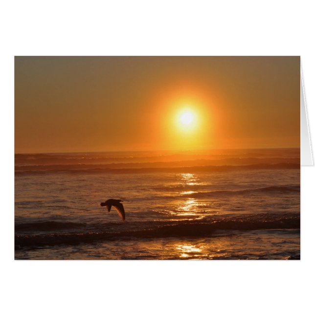 Sunset on the Pacific Ocean (Voorkant Horizontaal)