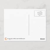 Sunset on the Rappahanock River Briefkaart (Achterkant)