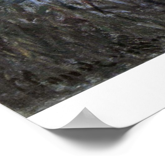 Sunset on the Seine door Claude Monet Poster (Hoek)