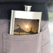 Sunset on the strand, Mallorca, Spanje Flacon (Voorbeeld)