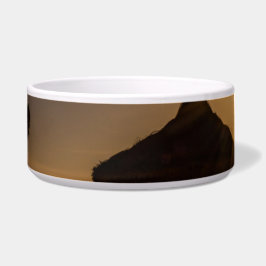 Sunset on the strand, Mallorca, Spanje Voerbakje