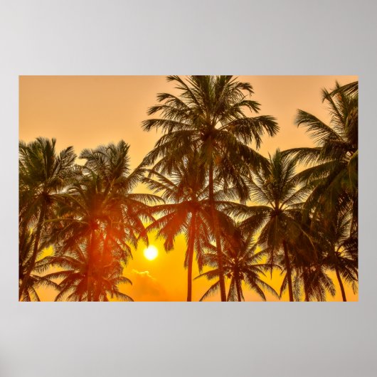 Sunset on the strand of Sri Lanka Poster (Voorkant)