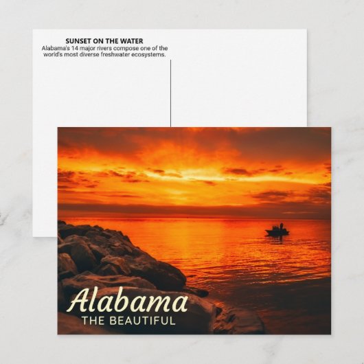Sunset on the Water, Alabama Briefkaart (Voorkant / Achterkant)