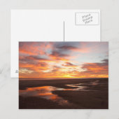 Sunset on the Zee of Cortez Briefkaart (Voorkant / Achterkant)