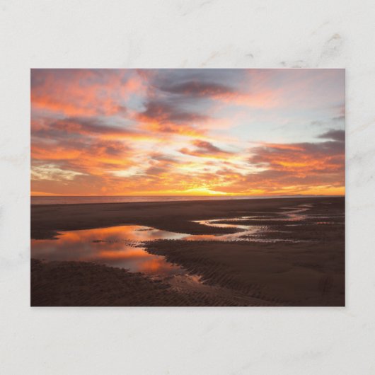 Sunset on the Zee of Cortez Briefkaart (Voorkant)