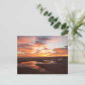 Sunset on the Zee of Cortez Briefkaart (Staand voorkant)