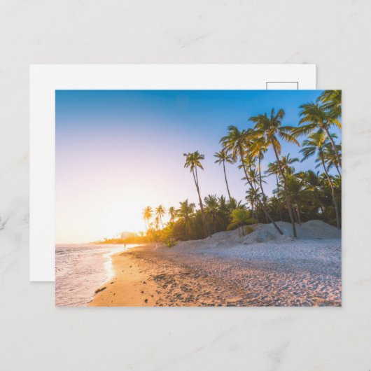 Sunset on Tropical Beach | Dominicaanse Republiek Briefkaart (Voorkant / Achterkant)