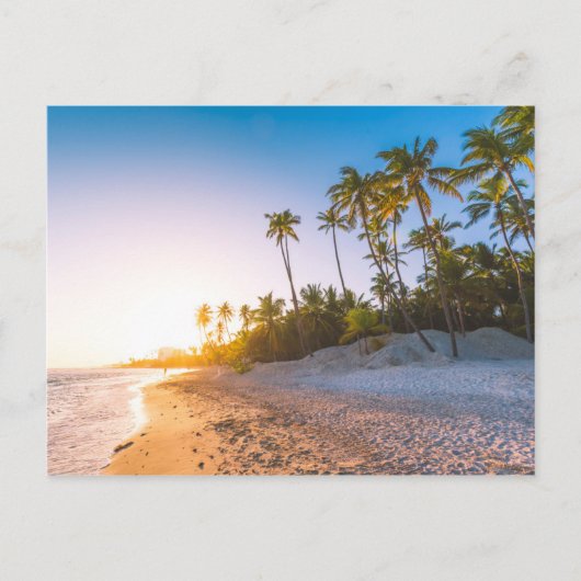 Sunset on Tropical Beach | Dominicaanse Republiek Briefkaart (Voorkant)