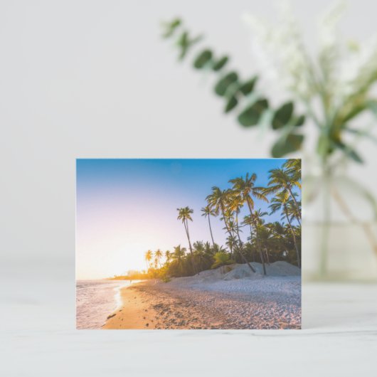 Sunset on Tropical Beach | Dominicaanse Republiek Briefkaart (Staand voorkant)
