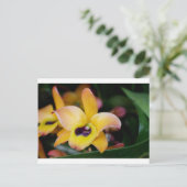 Sunset Orchid Briefkaart (Staand voorkant)