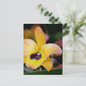 Sunset Orchid Briefkaart (Staand voorkant)