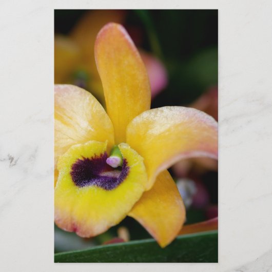 Sunset Orchid Briefpapier (Voorkant)