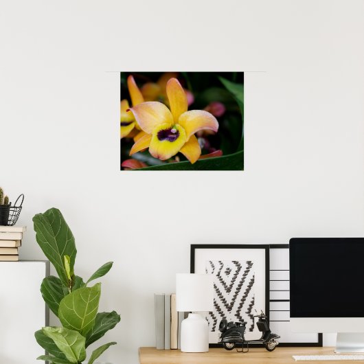 Sunset Orchid Poster (Thuiskantoor)