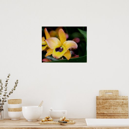 Sunset Orchid Poster (Keuken)