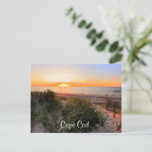 Sunset Over Beach Cape Cod MA Post Card Briefkaart (Staand voorkant)