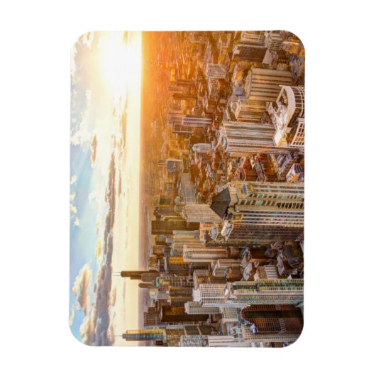 Sunset Over Chicago Magneet (Verticaal)