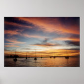 Sunset over de baai van La Paz Poster (Voorkant)