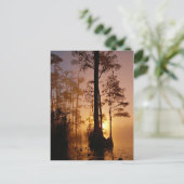 Sunset over de Okefenokee-moeras in Georgië Briefkaart (Staand voorkant)