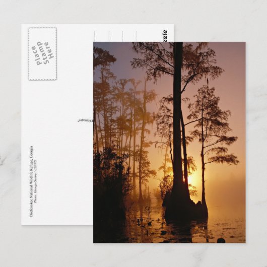 Sunset over de Okefenokee-moeras in Georgië Briefkaart (Voorkant / Achterkant)