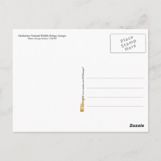 Sunset over de Okefenokee-moeras in Georgië Briefkaart (Achterkant)