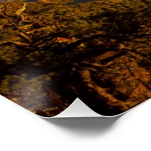 Sunset over Grand Canyon Poster (Hoek)