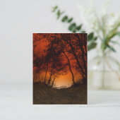 Sunset over Lake Michigan dunne Briefkaart (Staand voorkant)