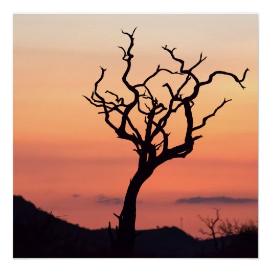Sunset over Madikwe Perfect Poster (Voorkant)