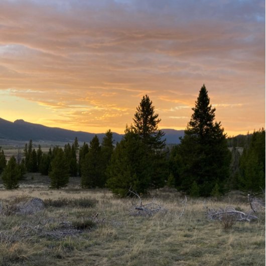 Sunset over Montana Notitiekaartje