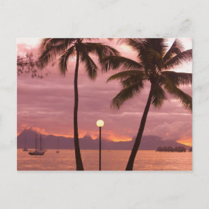 Sunset over Moorea van Sofitel Maeva Beach Briefkaart