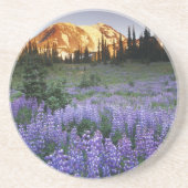 Sunset over Mt. Adams en een subalpiene weide Zandsteen Onderzetter (Voorkant)
