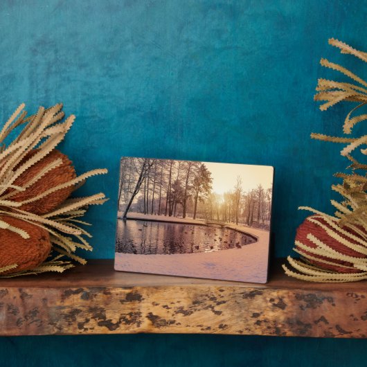 Sunset over park met een klein vorstmeer fotoplaat (Zijkant)