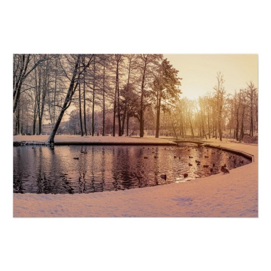Sunset over park met een klein vorstmeer perfect poster (Voorkant)