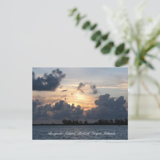 Sunset over Pomato Point Briefkaart (Staand voorkant)