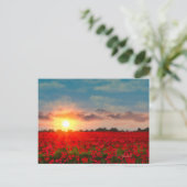 Sunset Over Poppy Field JW Briefkaart (Staand voorkant)