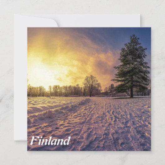 Sunset over sneeuwwinterpark (Voorkant)