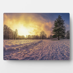 Sunset over sneeuwwinterpark fotoplaat