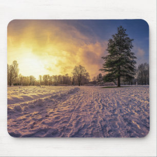 Sunset over sneeuwwinterpark muismat
