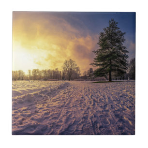 Sunset over sneeuwwinterpark tegeltje