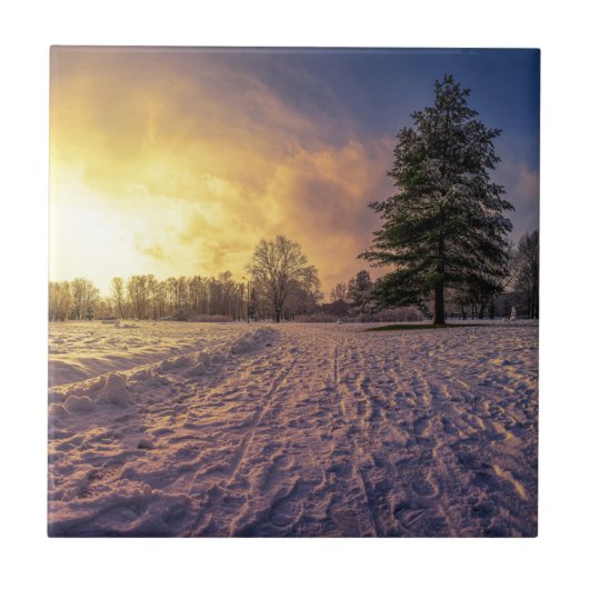Sunset over sneeuwwinterpark tegeltje (Voorkant)