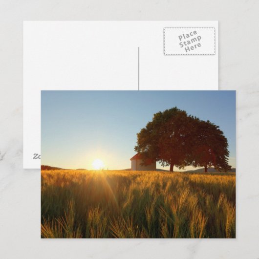 Sunset Over Wheat Field Briefkaart (Voorkant / Achterkant)