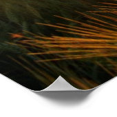 Sunset Over Wheat Field Poster (Hoek)