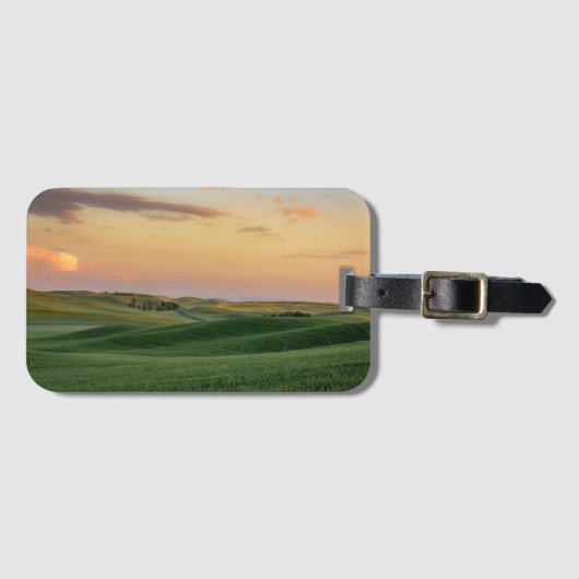 Sunset over Wheat Fields | Staat Washington Bagagelabel (Voorkant (horizontaal))