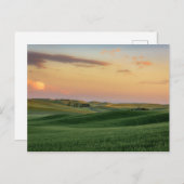 Sunset over Wheat Fields | Staat Washington Briefkaart (Voorkant / Achterkant)