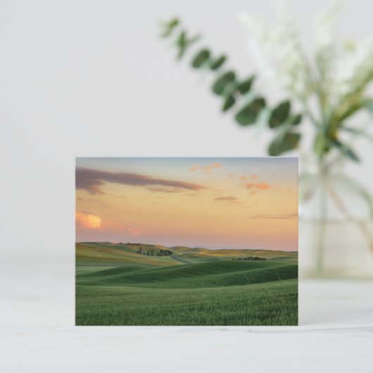 Sunset over Wheat Fields | Staat Washington Briefkaart (Staand voorkant)