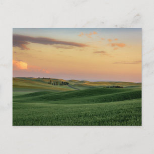 Sunset over Wheat Fields   Staat Washington Briefkaart