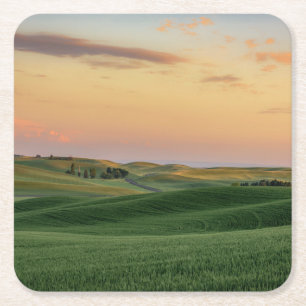 Sunset over Wheat Fields   Staat Washington Kartonnen Onderzetters