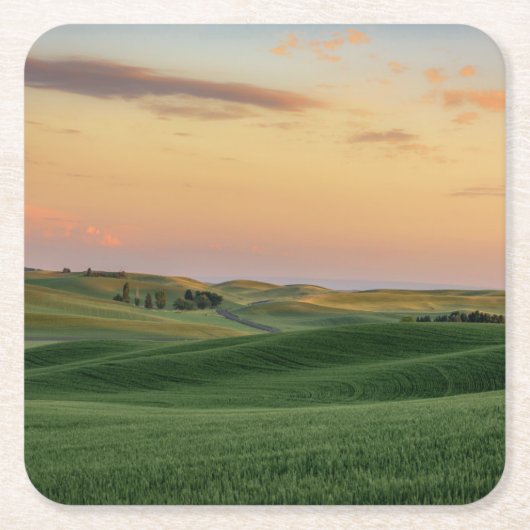 Sunset over Wheat Fields | Staat Washington Kartonnen Onderzetters (Voorkant)