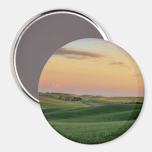 Sunset over Wheat Fields | Staat Washington Magneet (Voorkant / Achterkant)