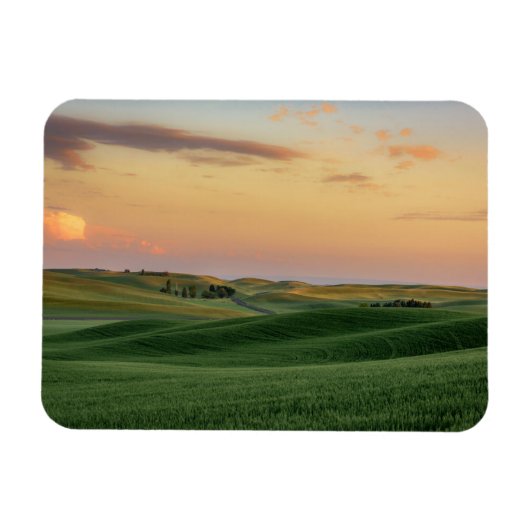 Sunset over Wheat Fields | Staat Washington Magneet (Horizontaal)